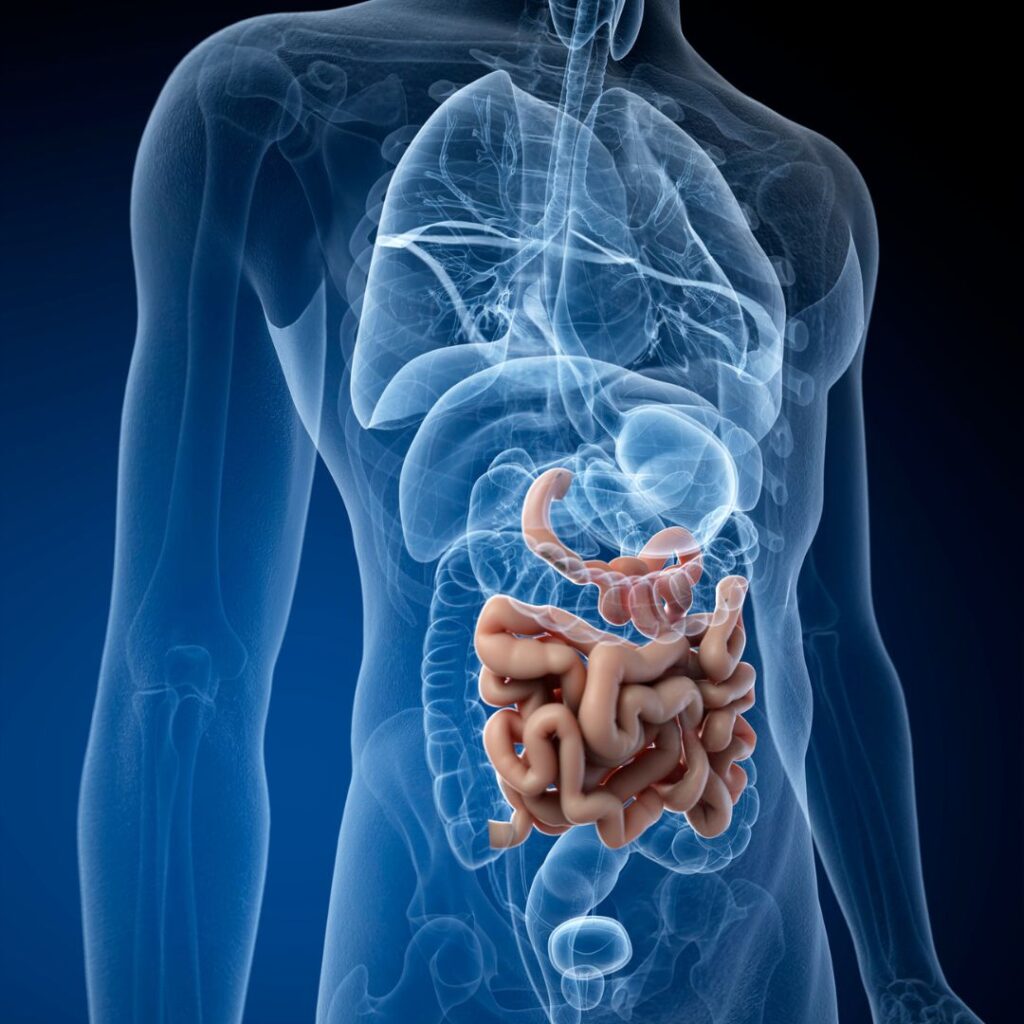 leaky gut symptoms